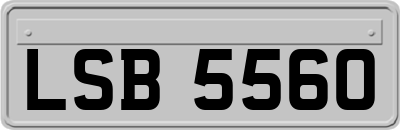 LSB5560