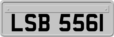 LSB5561