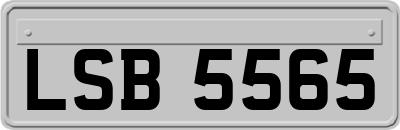 LSB5565