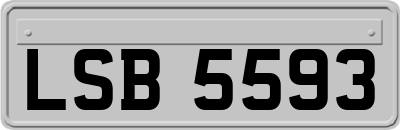 LSB5593