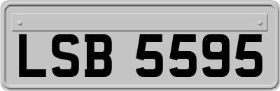 LSB5595