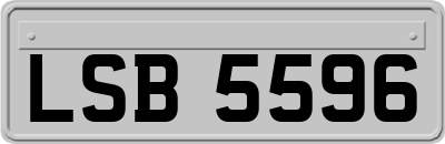 LSB5596
