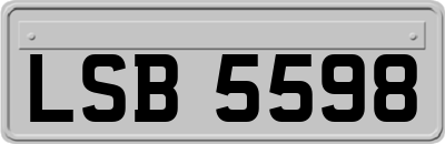 LSB5598