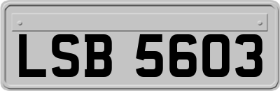LSB5603