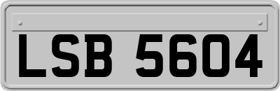 LSB5604