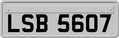 LSB5607