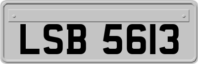 LSB5613