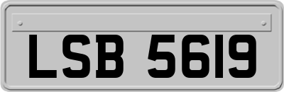 LSB5619