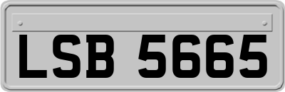 LSB5665