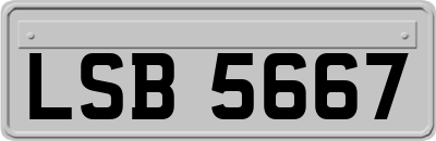 LSB5667