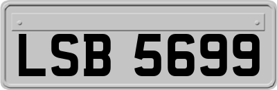 LSB5699