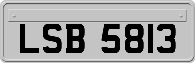 LSB5813