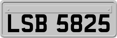 LSB5825