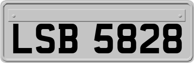 LSB5828