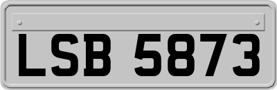 LSB5873