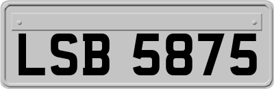 LSB5875