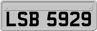 LSB5929
