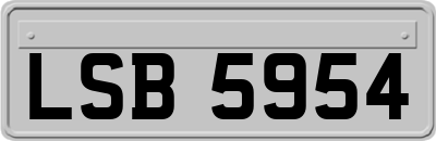 LSB5954