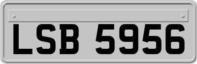 LSB5956