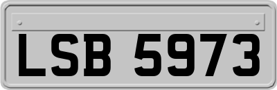 LSB5973