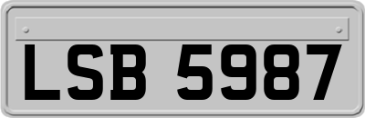 LSB5987