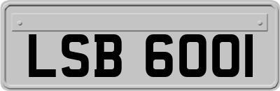 LSB6001