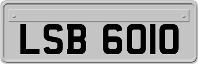 LSB6010