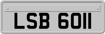 LSB6011
