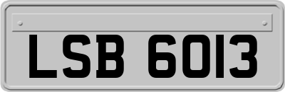 LSB6013