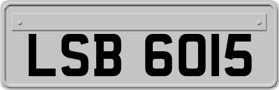 LSB6015