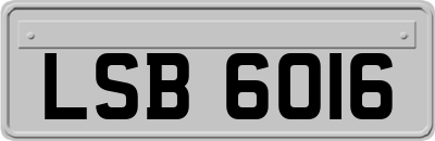 LSB6016