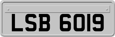 LSB6019