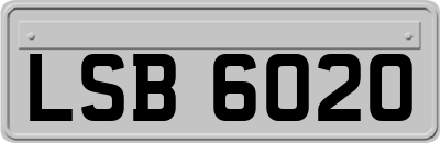 LSB6020