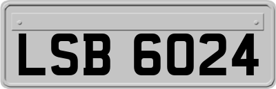 LSB6024