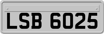 LSB6025