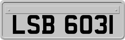 LSB6031