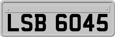 LSB6045
