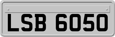 LSB6050