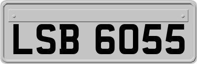 LSB6055