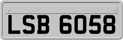 LSB6058