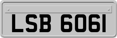LSB6061
