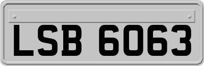 LSB6063