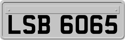 LSB6065