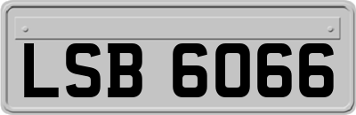 LSB6066