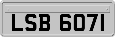 LSB6071
