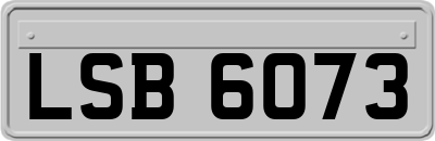 LSB6073