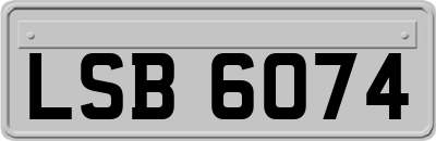 LSB6074