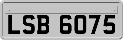 LSB6075