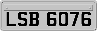 LSB6076