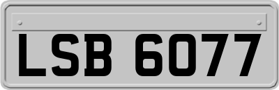 LSB6077